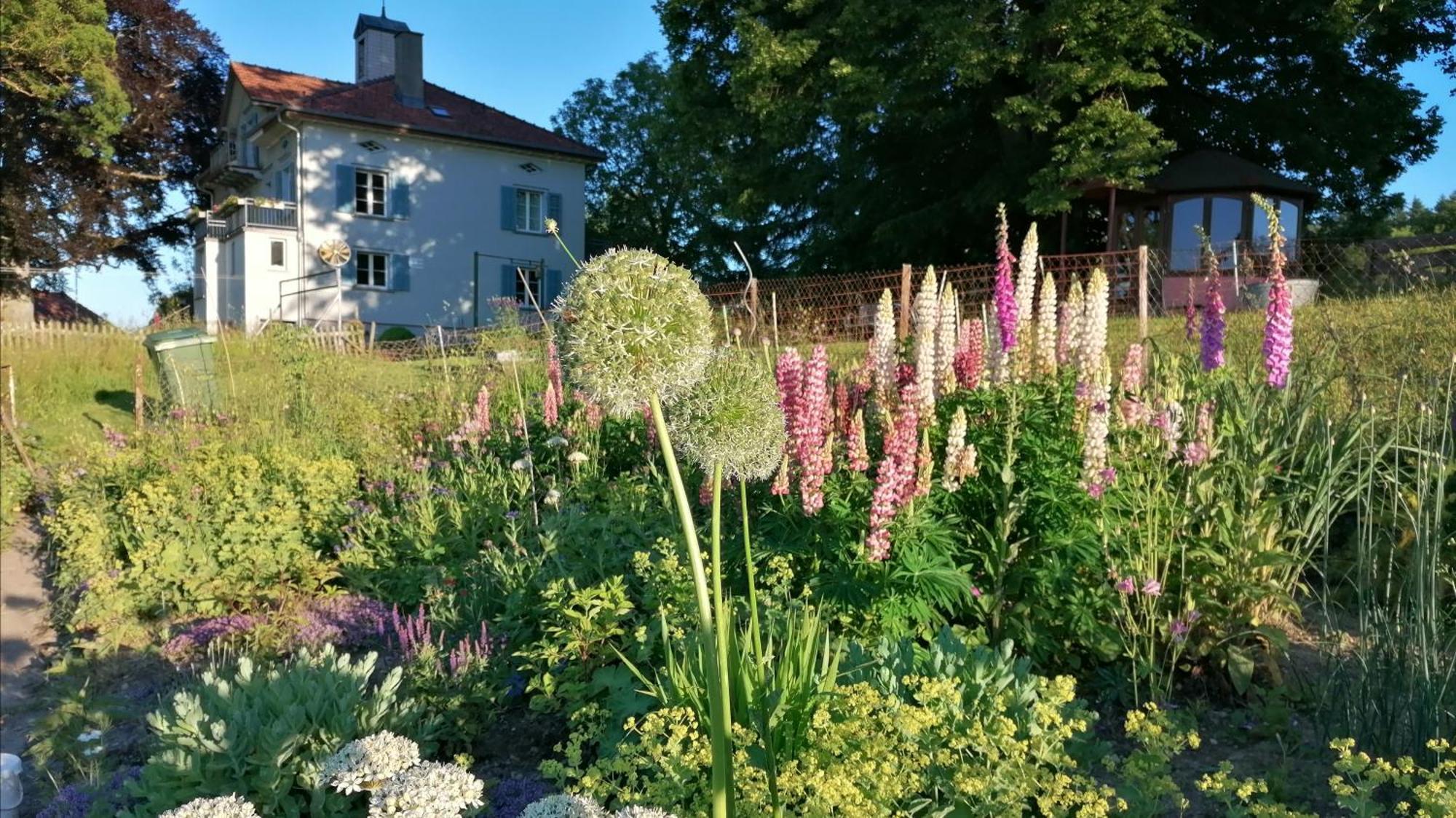 Seesicht Und Charmante Wohnung Bei Hanni Und Ueli Bottighofen Екстер'єр фото